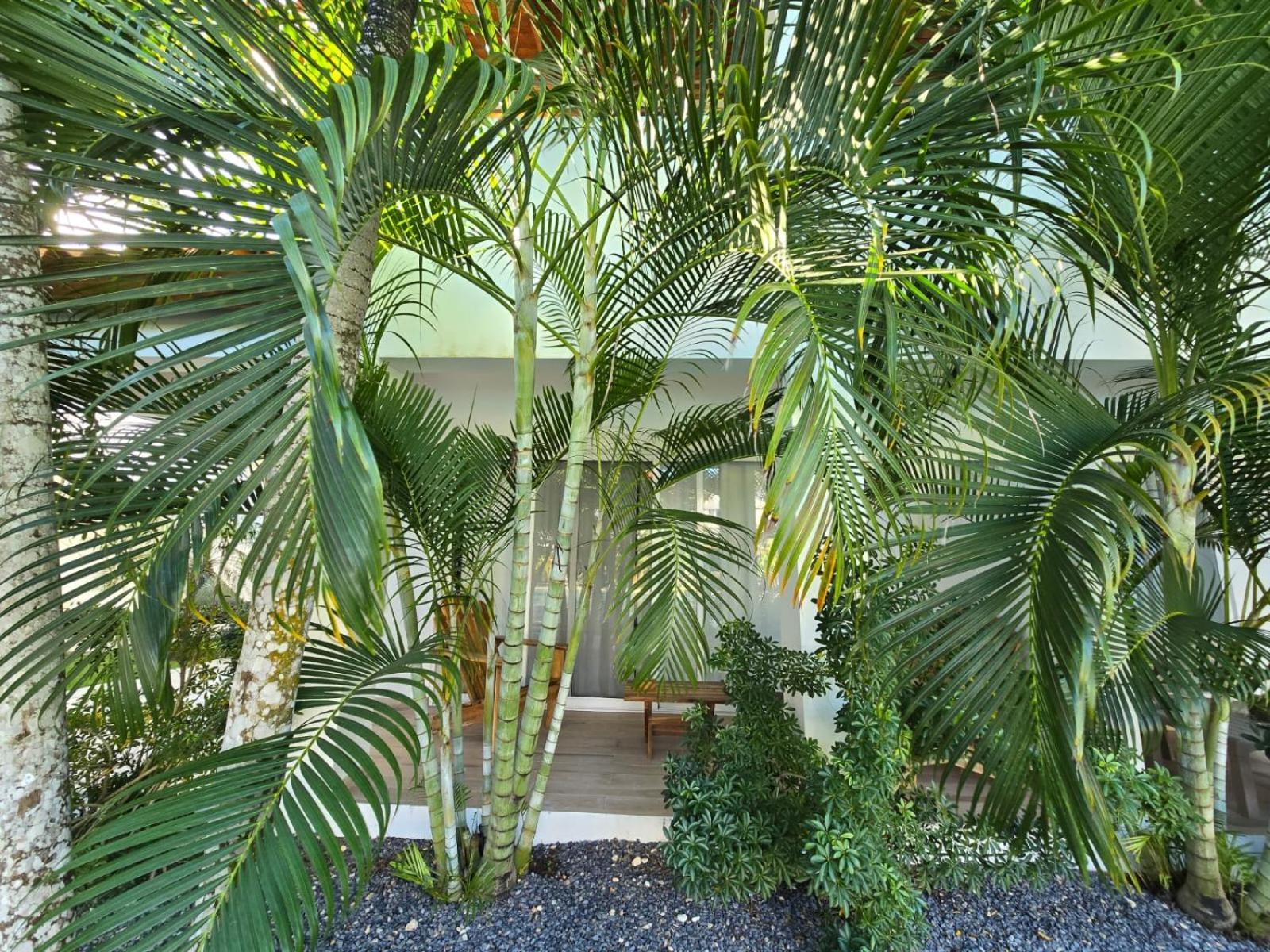 Residencial Paraiso 巴亚希贝 外观 照片