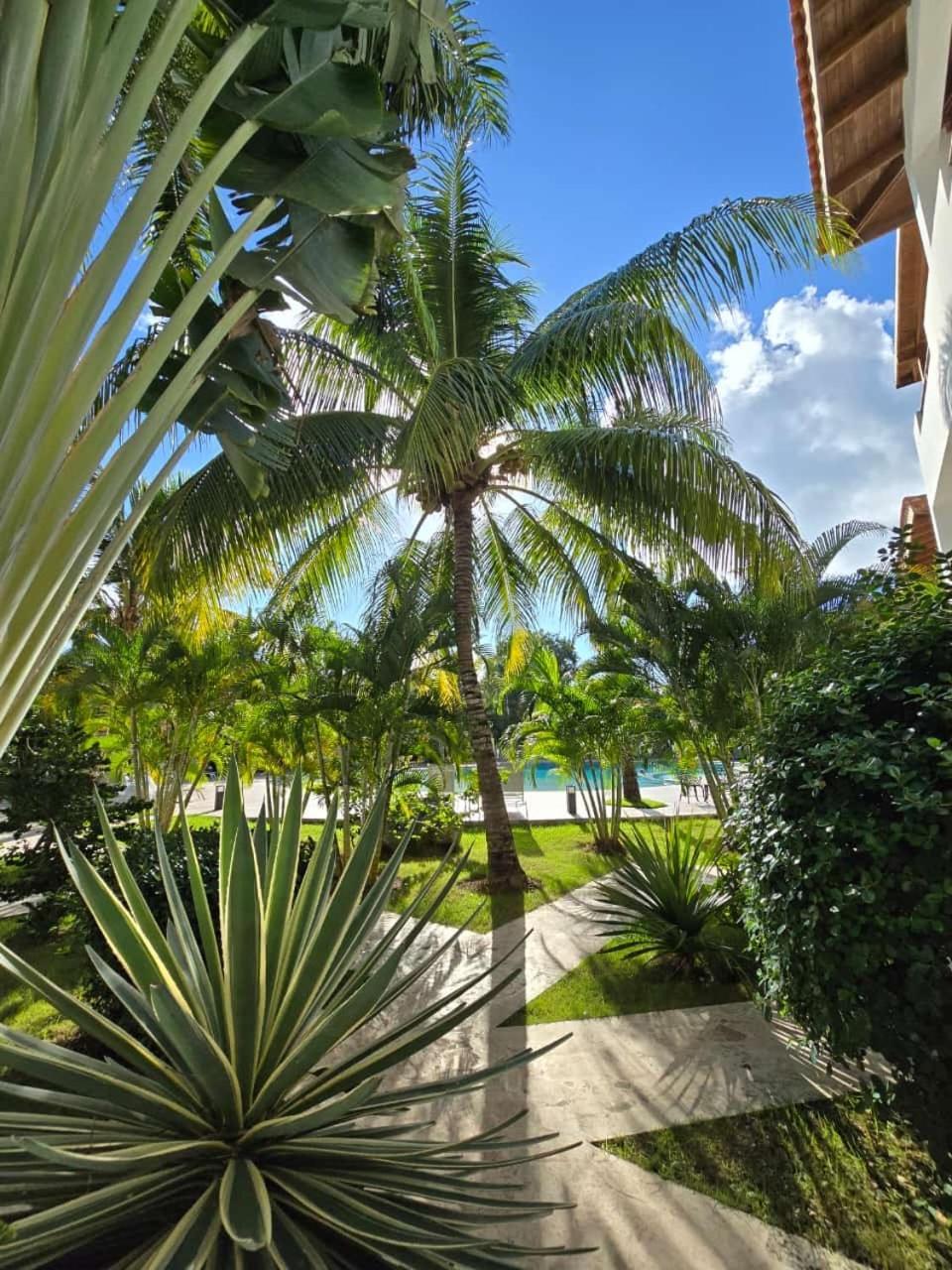 Residencial Paraiso 巴亚希贝 外观 照片