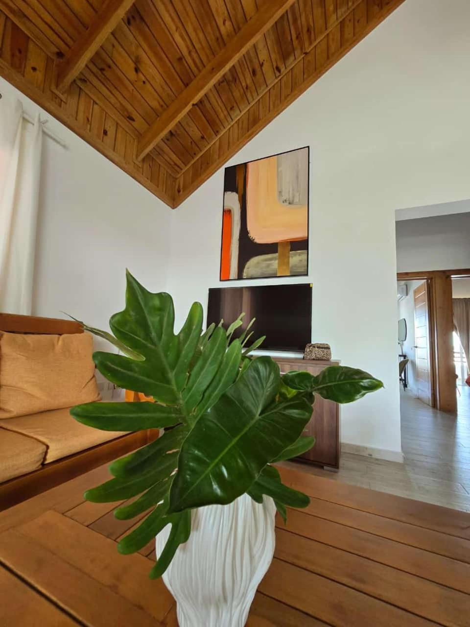 Residencial Paraiso 巴亚希贝 外观 照片